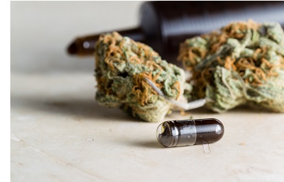 ANNOUNCING THE LAUNCH OF MY NEW CBD INFO SITE CANNABANANADAZE! CBD%20oil%20cannabis