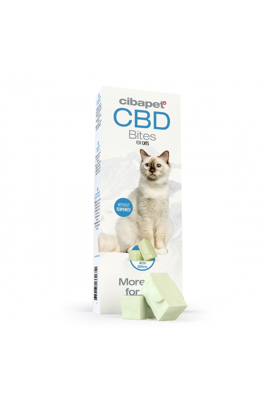 CBD Cat Treats