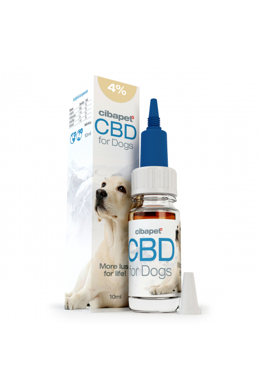 CBD Oil 4 For Dogs