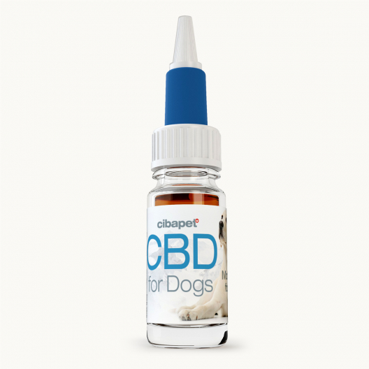 CBD Oil 4% For Dogs