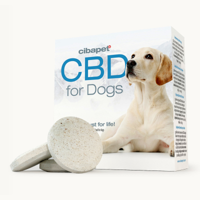 Huile CBD Chien 20% Canidiol 10ml