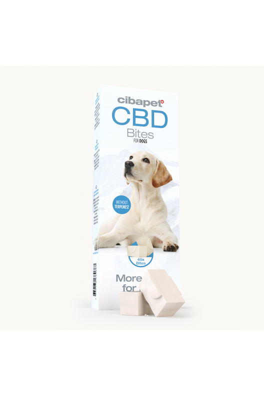 Snack con CBD per cani