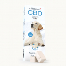 CBD Dog Treats