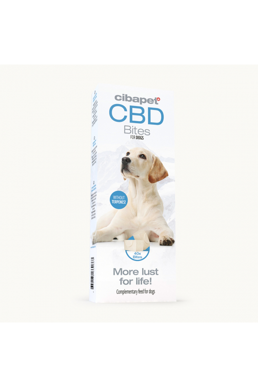 CBD Dog Treats