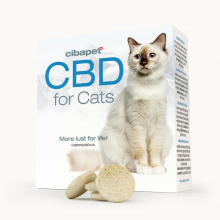 CBD-Pastillen für Katzen