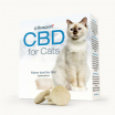 CBD-Pastillen für Katzen