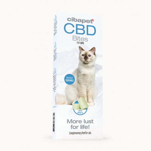 CBD Cat Treats