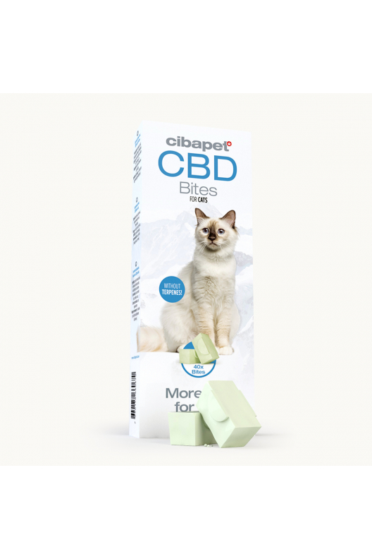 CBD Cat Treats