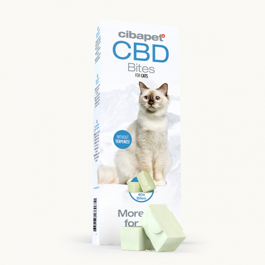 CBD Katzensnack