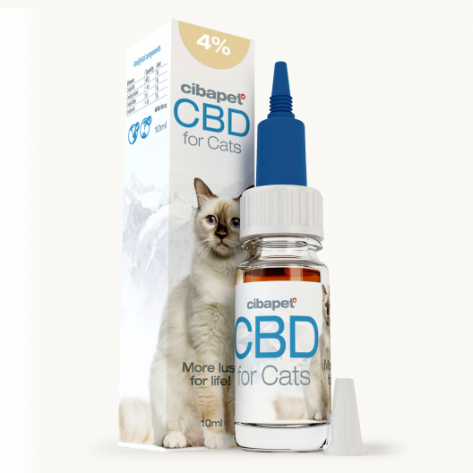 CBD-Öl 4% für Katzen