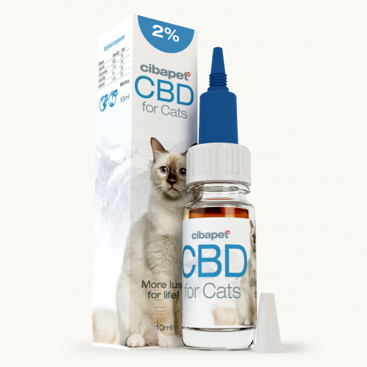 CBD-Öl 2% für Katzen