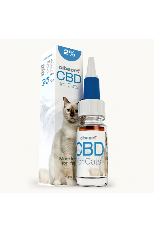 CBD-Öl 2% für Katzen