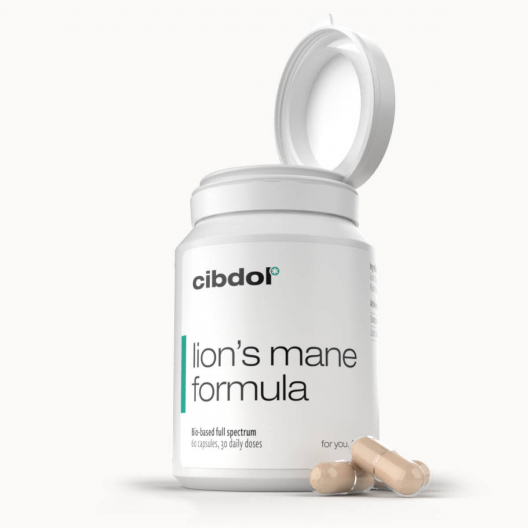 Lion's Mane Formula