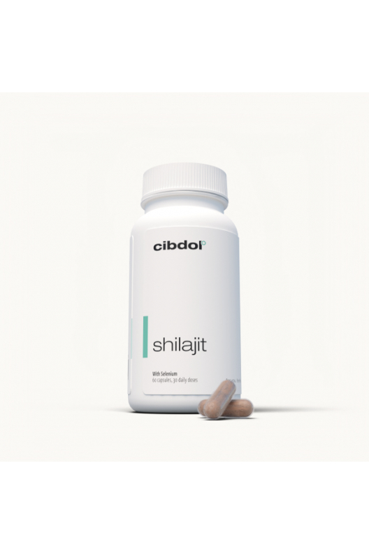 Shilajit Shilajit
