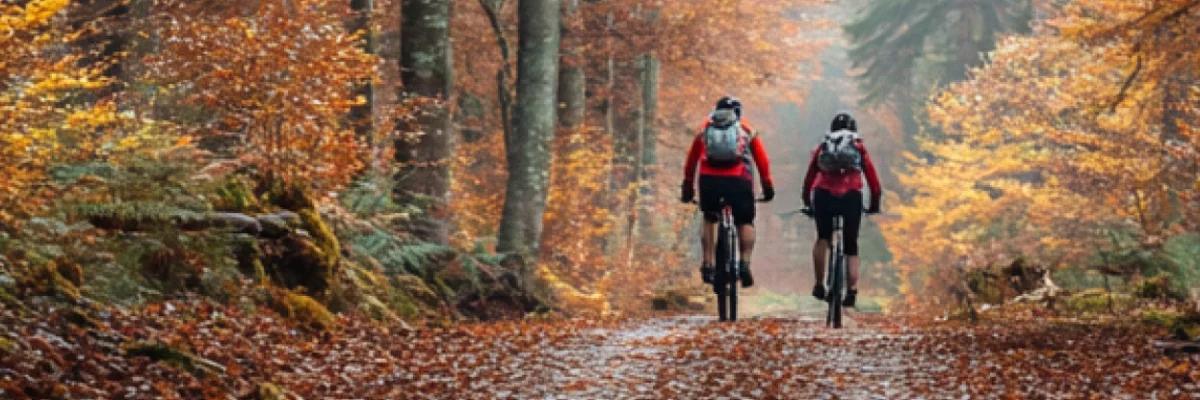 Dwoje rowerzystów na leśnej ścieżce jesienią