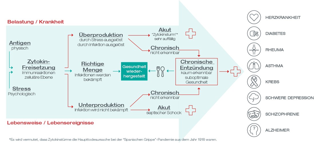 chronische Entzündung Infografik