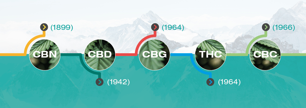 Wann wurden Cannabinoide entdeckt?