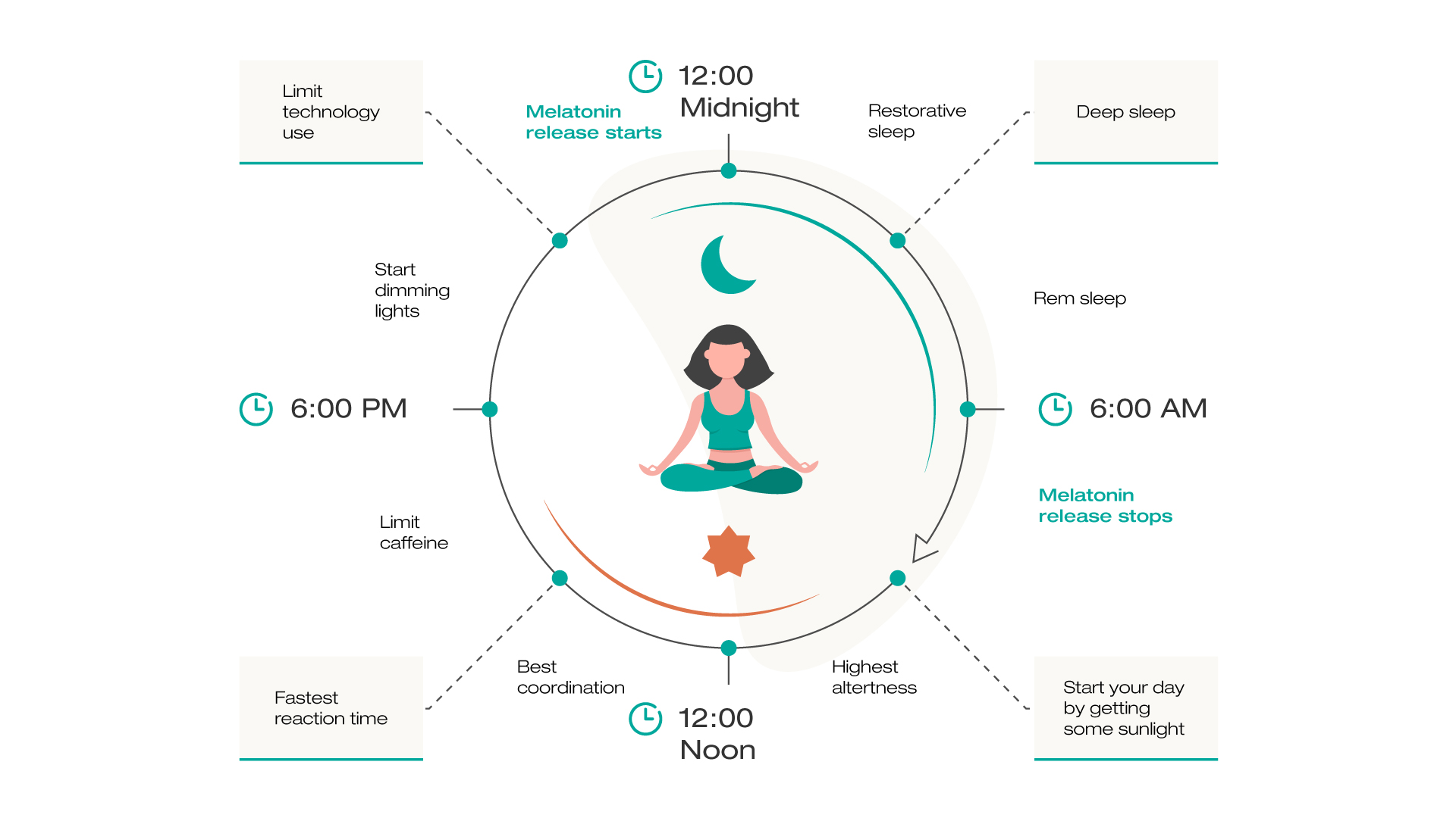 Circadiane Rhythmus infographic