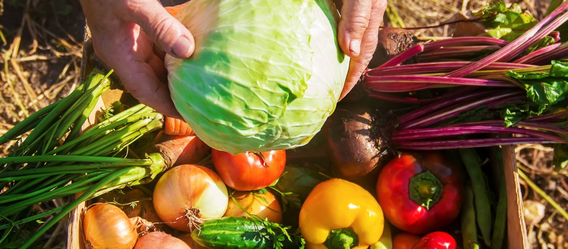 Ganzheitliche Ernährung und Entgiftung