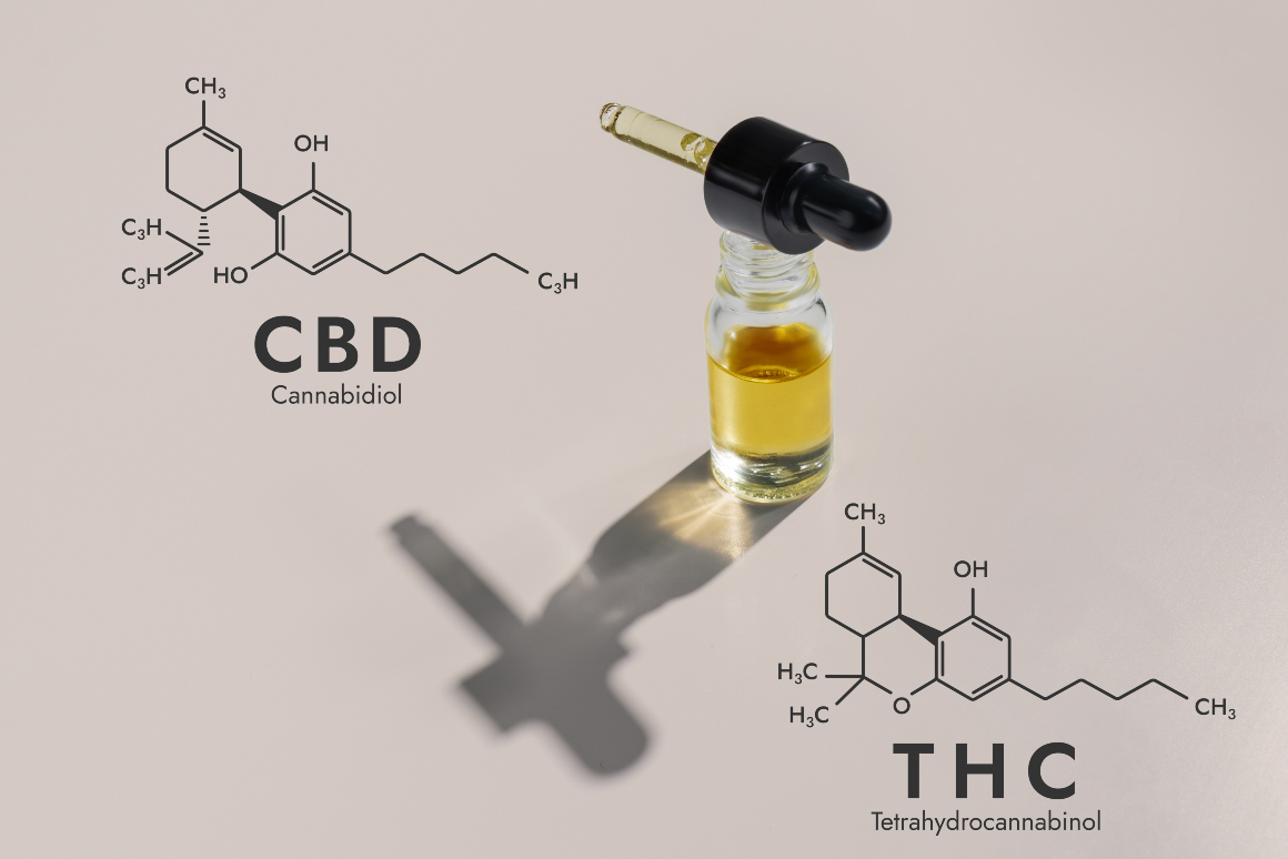 Welche Art von Hanf sollte ich für die Herstellung von CBD-Öl verwenden?