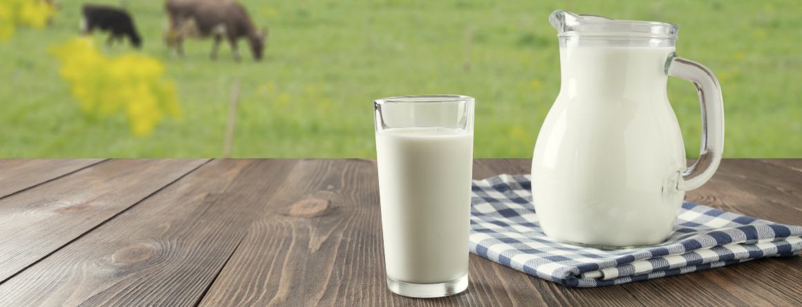 Enthält Milch Omega-3-Fettsäuren?