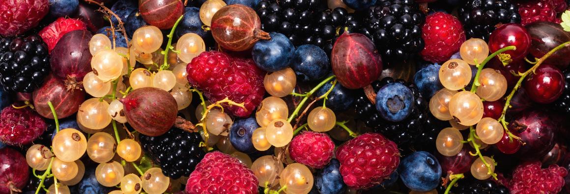 Welche Früchte enthalten besonders viel Omega-3?