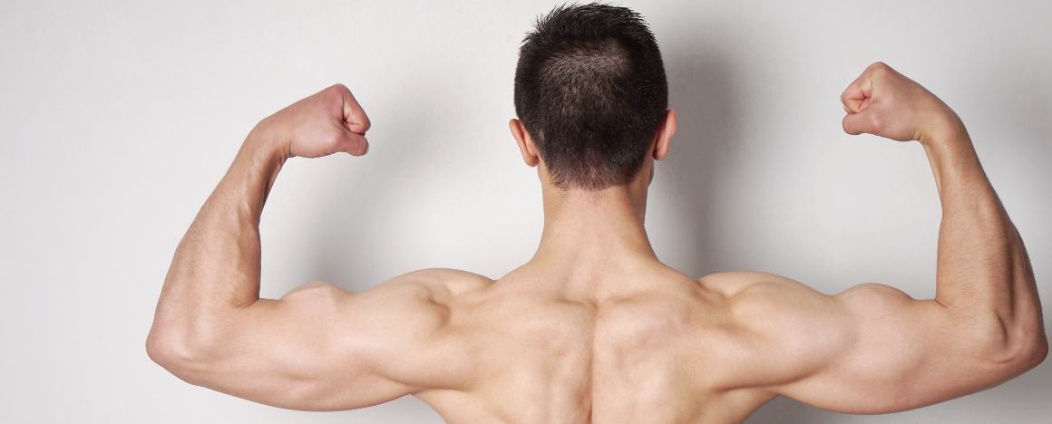 Welches Omega ist am besten für das Muskelwachstum?