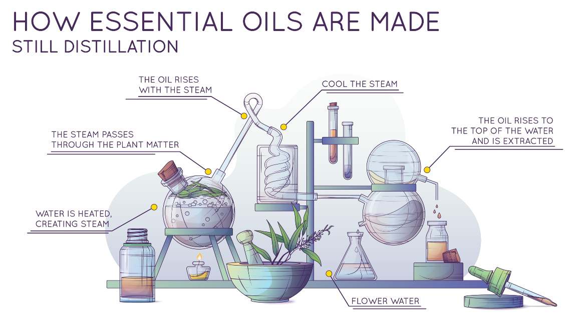 Wie man ätherische Öle herstellt