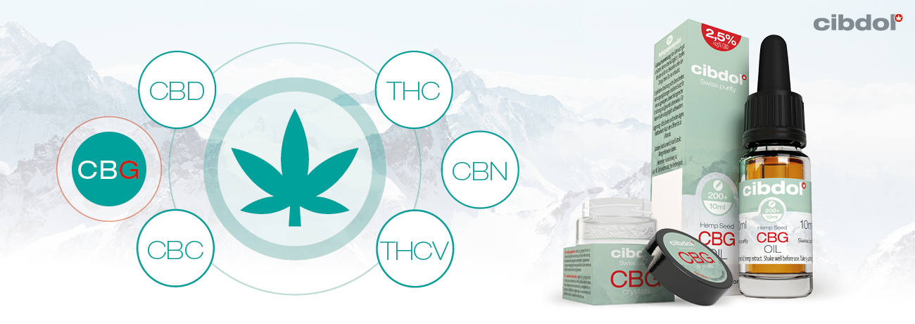 What is CBG (Cannabigerol)?