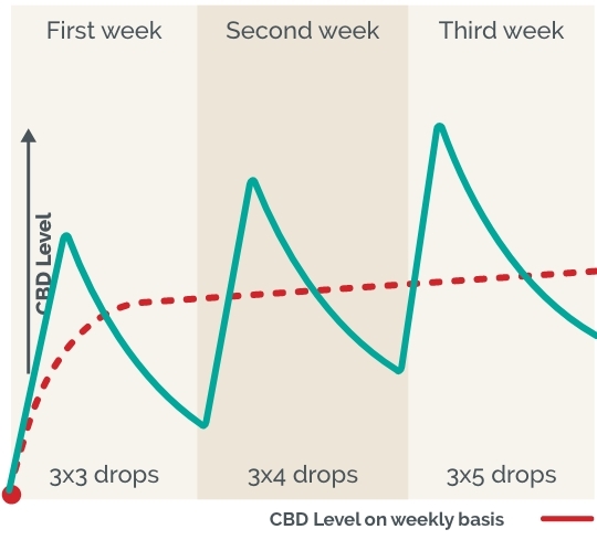 Building up your CBD levels