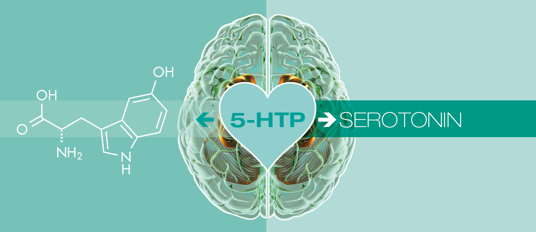 5-HTP-benefits-uses-dosage-and-side-effects.jpg