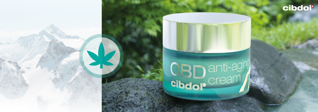 Are cannabinoids absorbed through the skin?