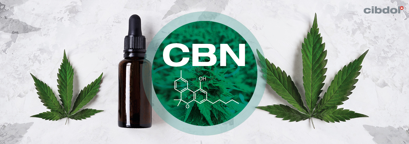 Hva er CBN (Cannabinol)?