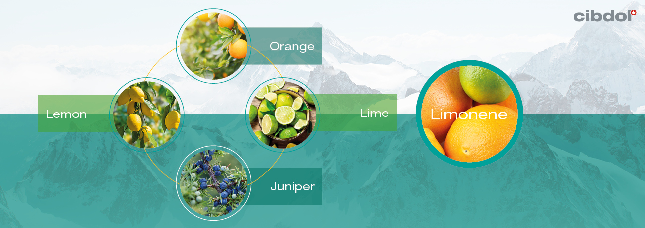 What is Limonene?