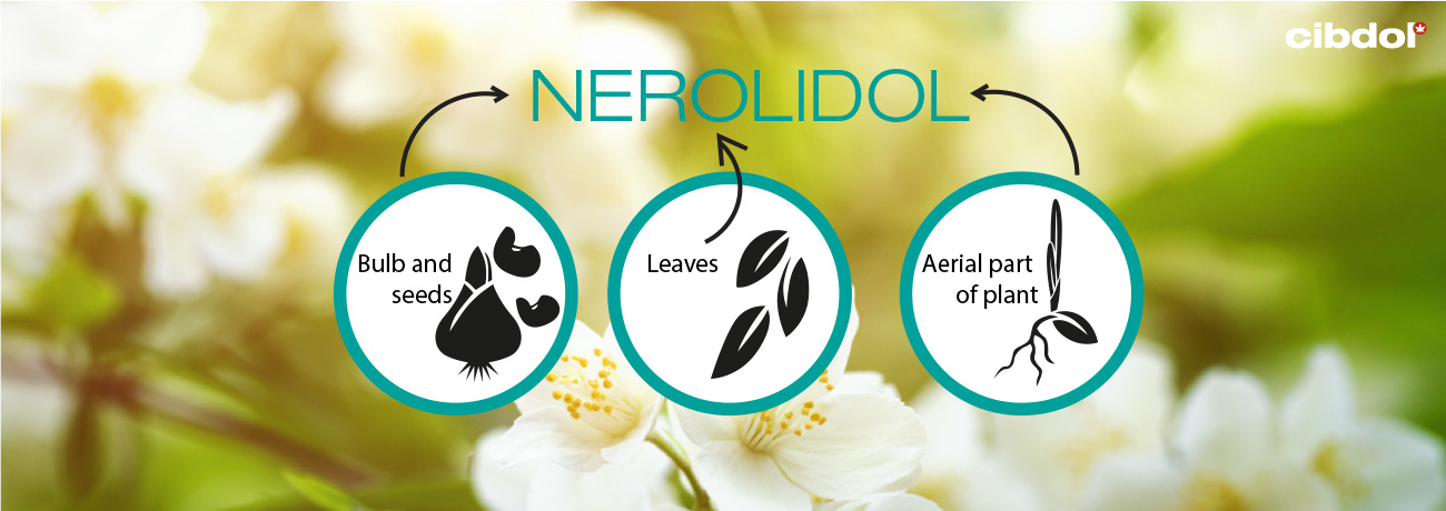 What is Nerolidol?