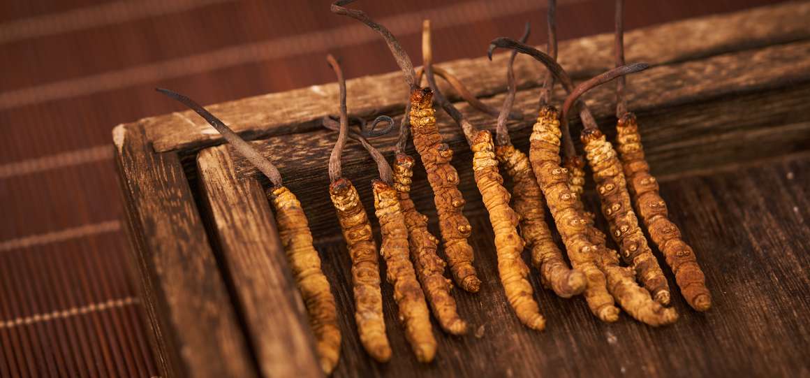 Should cordyceps be taken on an empty stomach or with food?