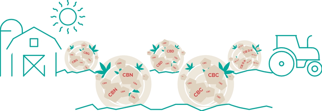 CBD full spectrum