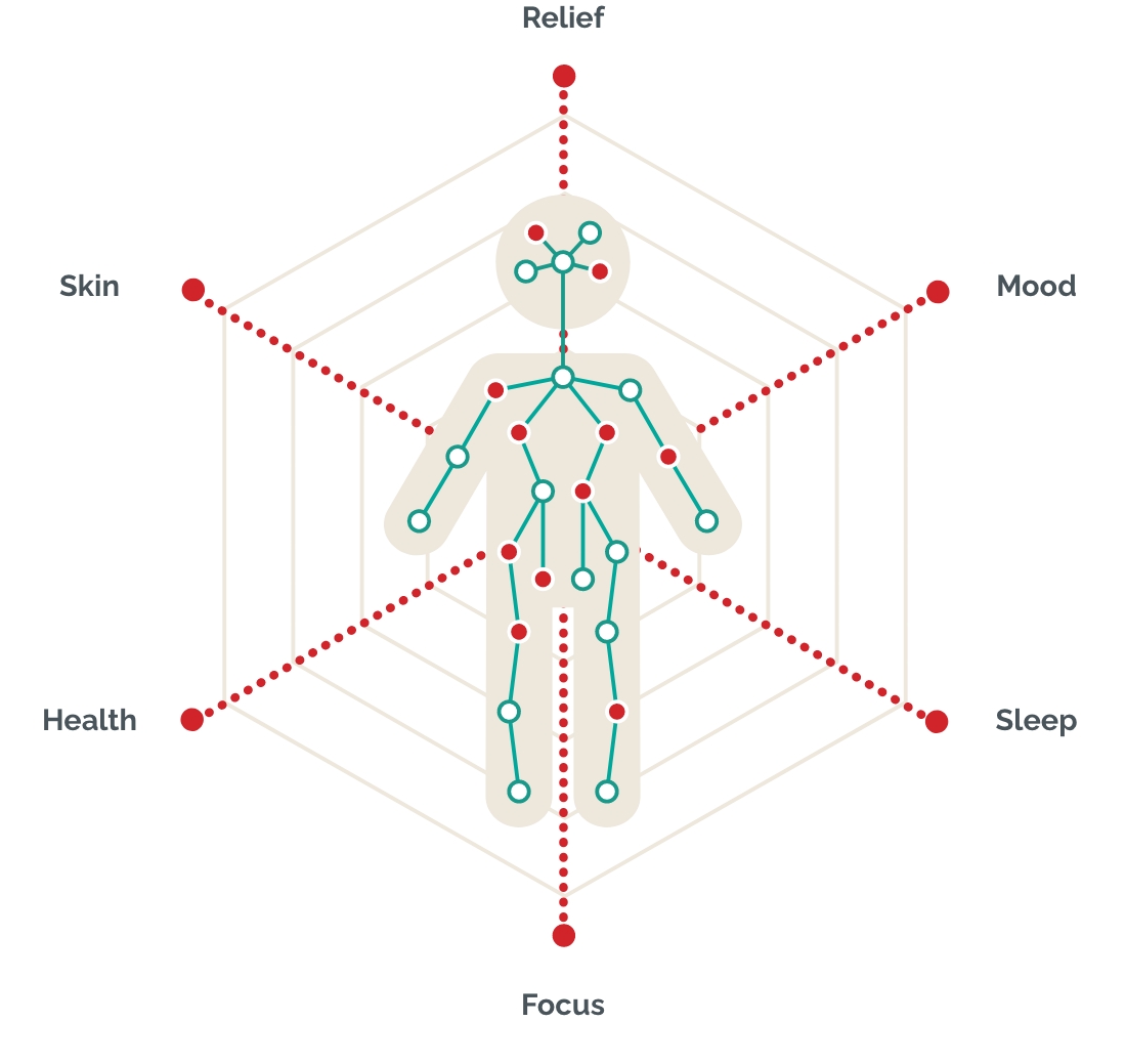 cbd impact