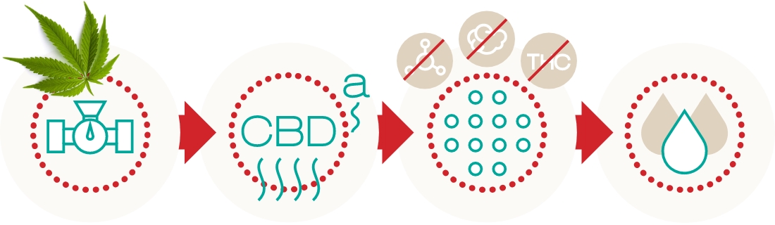 CBD full spectrum