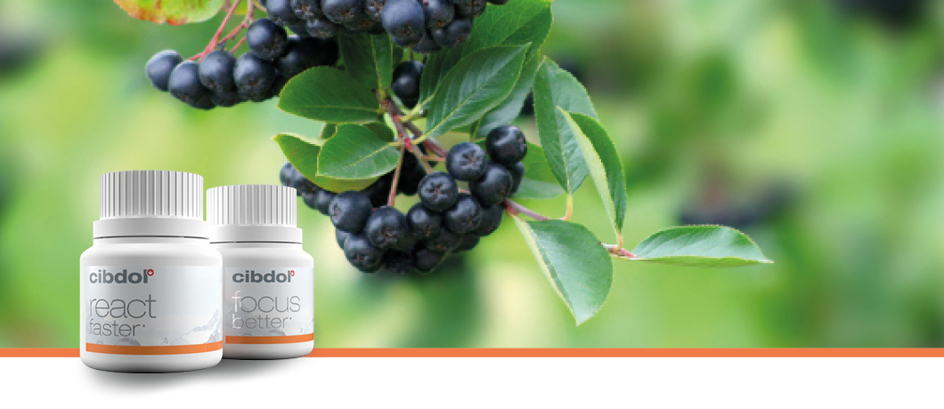 Aronia berry