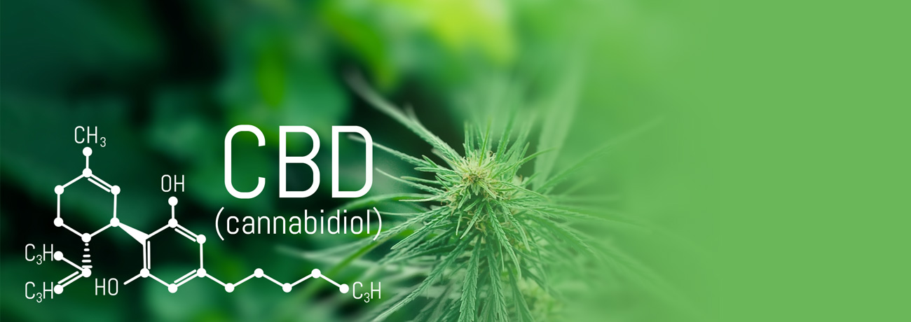 What Will CBD Do To Your Body