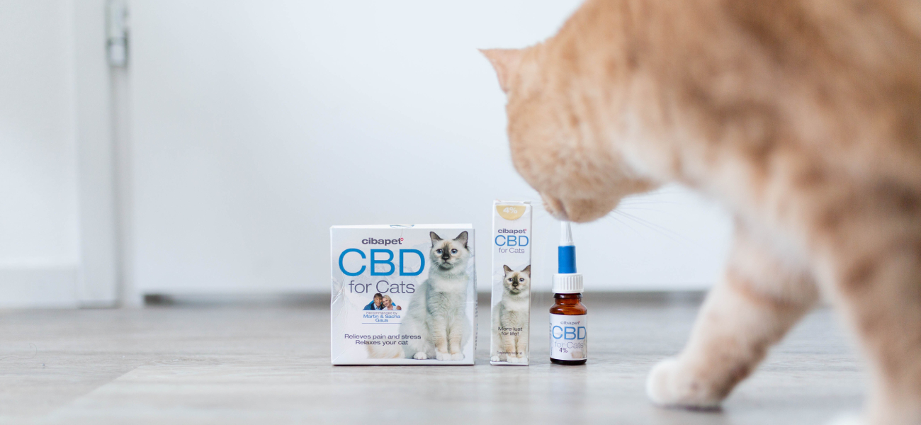 Como dou o CBD ao meu animal de estimação?