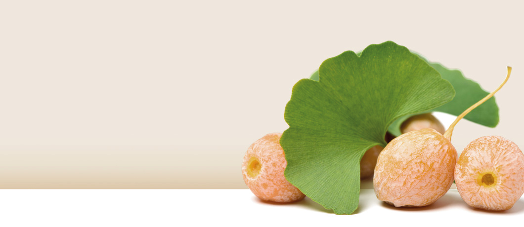 Was ist Ginkgo biloba?