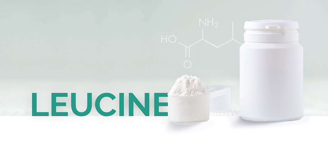 Qu'est-ce que la leucine ?