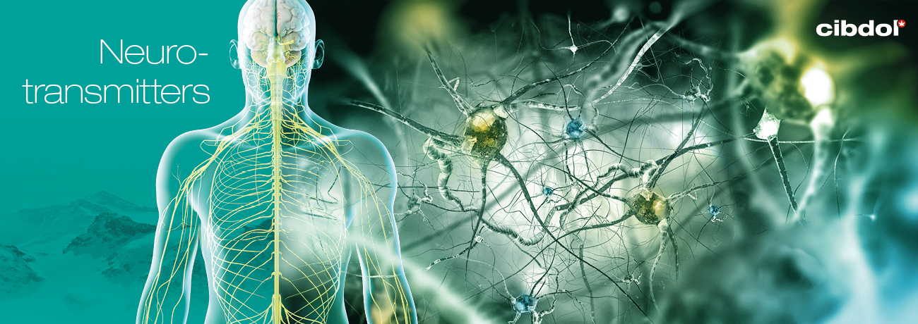 What are endocannabinoids?