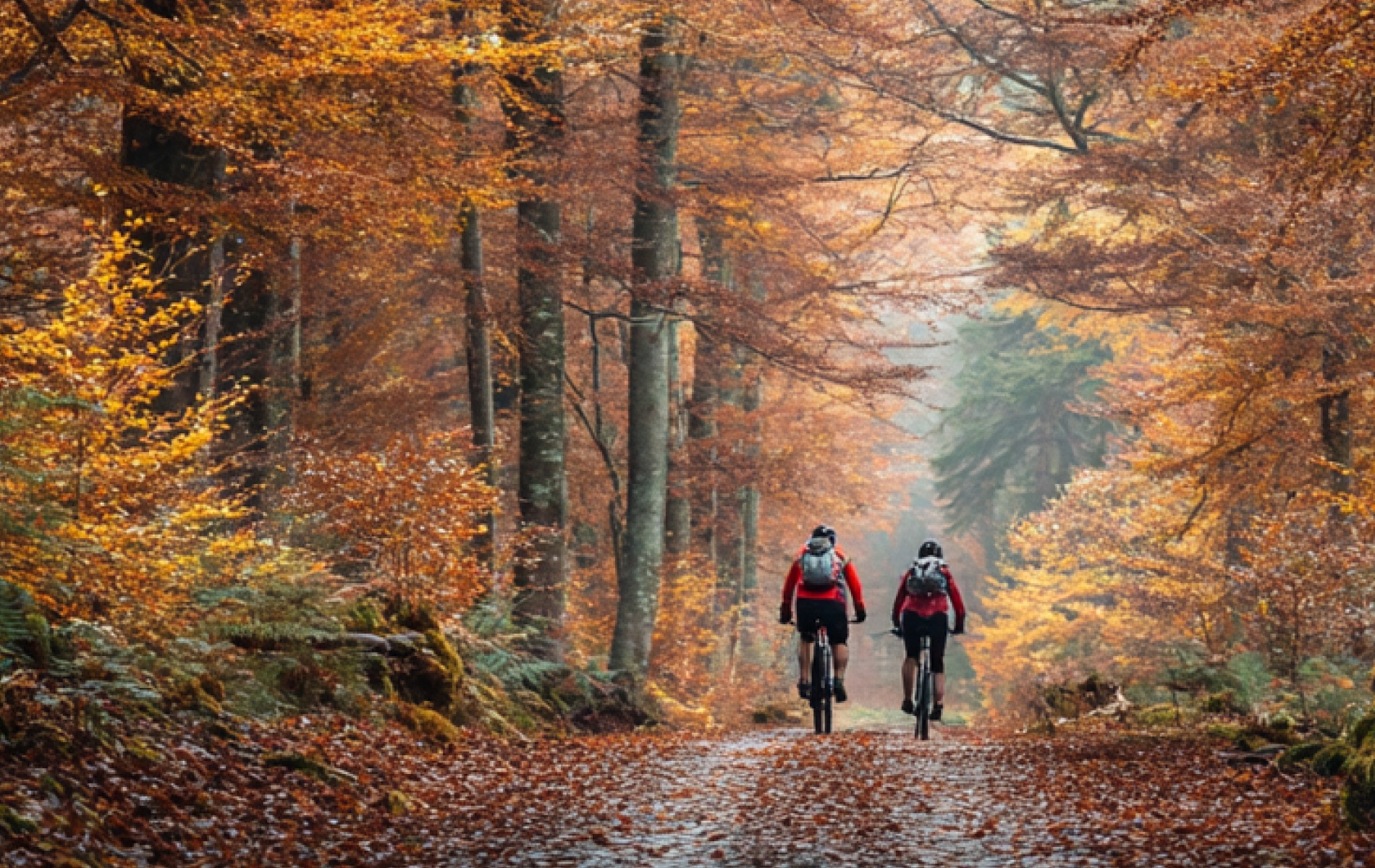 Autumn cycling background - desktop