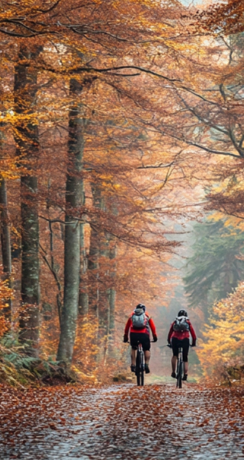 Autumn cycling background - mobile