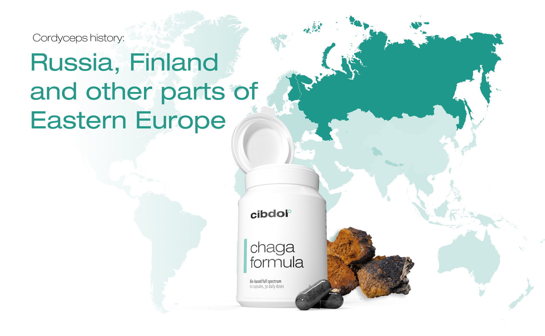 History of Chaga