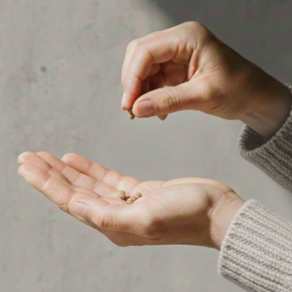 Vrouw met truffels in haar hand
