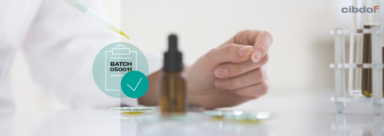 Le 8 Caratteristiche Di Un Olio Di CBD Di Alta Qualità